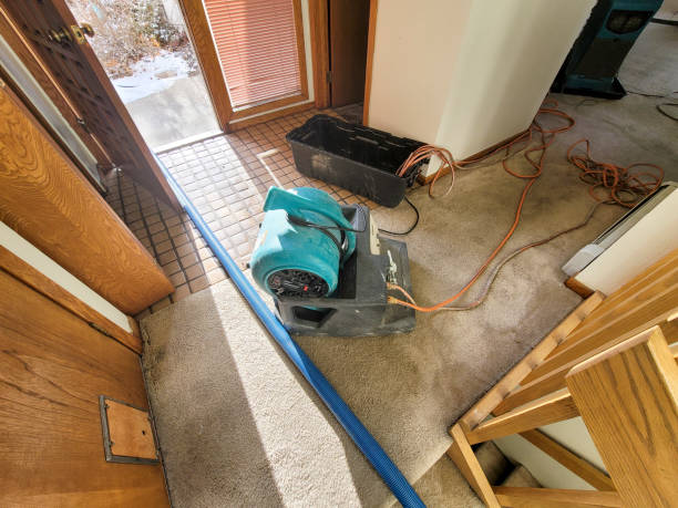 Best Flood damage cleanup  in Southside, AL
