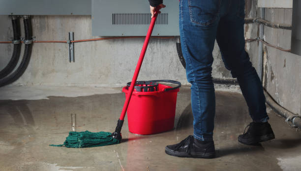Best Mold removal after water damage  in Southside, AL